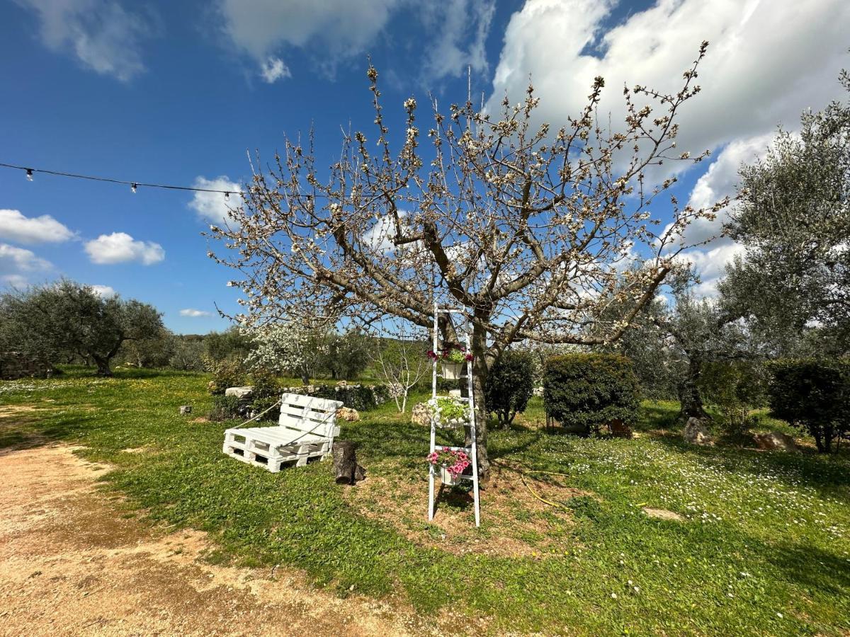 Trulli Barsento Guest House Alberobello Eksteriør bilde