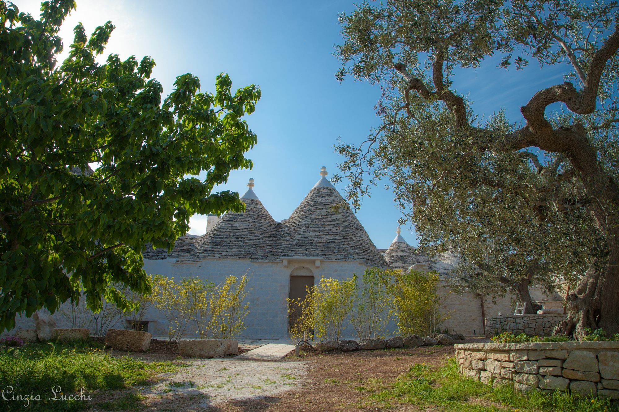 Trulli Barsento Guest House Alberobello Eksteriør bilde
